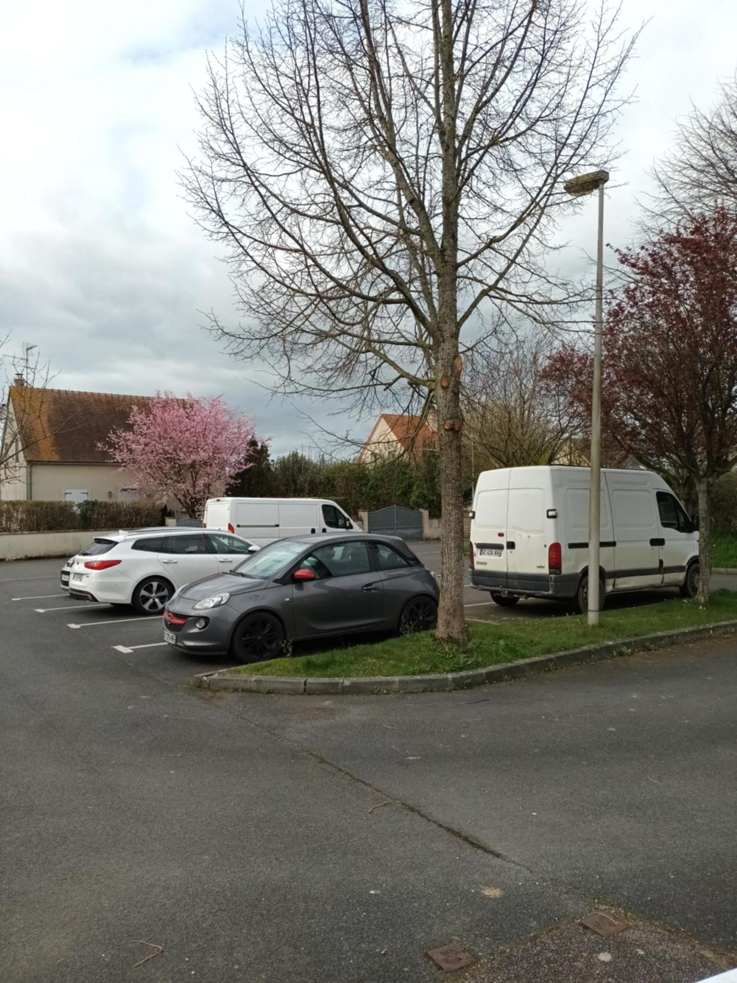 Appartement Tout Confort Le Fresne-Camilly Bagian luar foto